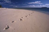 Footprints in the sand leading out in to the distance on a deserted beach