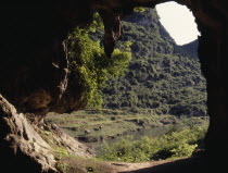 Looking out from Limestone Cave to cattle grazing on riverside terraces