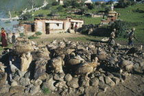 Sky burial site with vultures gathered on the ground in front of people and religious buildings
