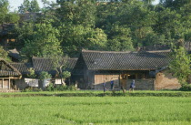 People outside village housing with rice fields in the foreground.