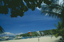 Outrigger fishing sailboats on the beach seen through trees