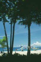 Beach seen through coconut palm trees with outrigger fishing sailboats ashore