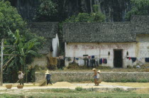 People drying grain outside a farmhouse.