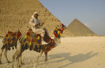 Pyramids and Camel Rider