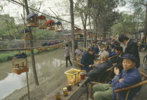 Songbirds hanging in cages at a tea house.