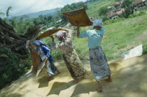 Four women sifting rice in field above village near Bukit