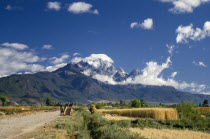 Yalong Mountain with cart and people harvesting wheat in the foreground