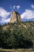 National Monument seen towering above trees in the foreground