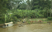 Amazon river village