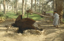 Boy using typical water wheel. Palm trees behind