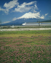 The Shinkansen Bullet train passing the base of Mount Fuji with a field of pink flowers in the foreground