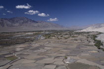 General view over the valley with divided land  scattered trees and river