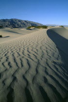 Desert landscape leading to rocky hills