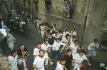 San Fermin Bull Run Festival people running ahead of bulls in narrow street