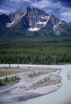 Columbia Ice Fields below snow capped mountains