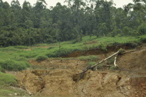 Soil erosion caused by deforestation of the amazon rainforest.