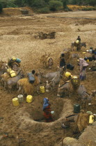 Boran women digging deep holes for water in a dry river bed with donkeys nearby laden with water barrels