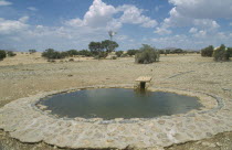 Animal waterhole with wind pump in the distance