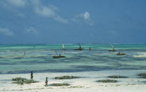 Fishermen returning to beach at low tide with boats at sea