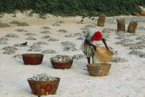 Woman sifting sand from fish dried in the sun on the beach