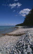 View along shoreline with pebble beach  driftwood and breakwaters  lined by trees