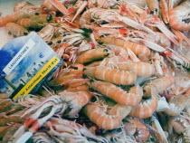 Langoustines on sale at the market in the town of Rouille.Prawns Shrimps