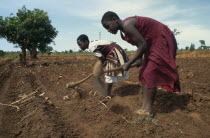 Girls working in fields near Lilongwe.  The soil is very dry due to the lateness of the rains