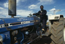 Tractor driver working in tobacco plantation.