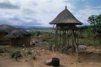 EDETA village income generation group.  Circular thatched chicken house raised on stilts in village.Enterprise Development and Training Agency.