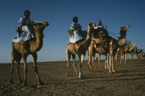 Sahrawi Arab Democratic Republic.  Line of Sahrawi camel riders.  Morocco disputed area