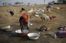 Laundress washing clothes in bowls with garments spread out over bushes to dry behind.clean