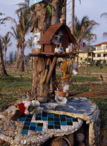 Khao Lak  A memorial for those lost in the Tsunami  photographs  flowers  drinks and others objects placed around a tree.