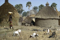 Village huts with straw roofs and a woman carrying a bowl on her head amongst livestock