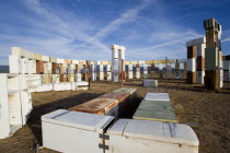 Stonefridge a life sized replica of Stonehenge made out of recycled fridges by local artist and filmmaker Adam Horowitz