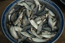 Bowl of freshly caught sardines.West Africa