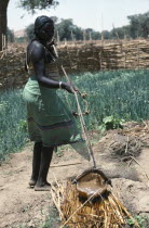 Chadian refugee woman irrigating vegetable plot in wadi during the dry season.