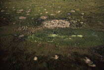 Aerial view over Dinka cattle camp during the wet season.