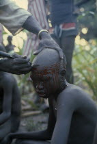 Dinka initiation into manhood.  Scarring ceremony in which each boy has six horizontal lines cut into forehead  any sign of weakness brings dishonour.