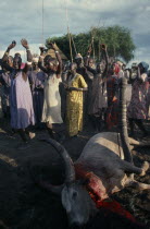 Dinka tribespeople dancing with arms raised to simulate cow   women   or bull   men   after sacrifice.