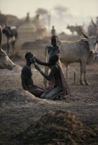 Dinka girls applying facial decoration for wedding celebrations watched by young child and cattle in camp.