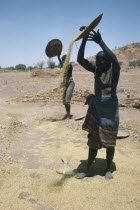 Masalit women winnowing millet.  The Masalit people primarily make their living through agriculture. Non-arab people living in most remote areas of Sudan and Chad.  Independant  own language  practic...