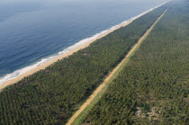 View over Palm plantations and shoreline