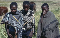 Three boys standing in field with cattle