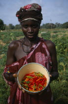 Woman standing amongst crops holding bowl of chillies
