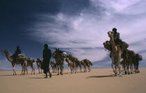 Tuareg camel caravan. toureg