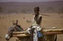 Young boy on donkey carrying wooden stakes near Bouza.