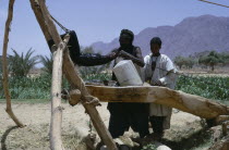 Tuareg filling water bottles for agricultural use.  toureg