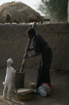 Young woman pounding grain with goat kid standing up on hind legs against mortar.