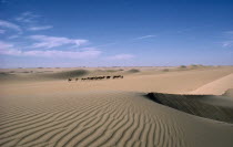 Distant camel train crossing sand dunes.