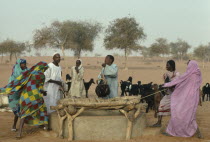 Men and women with goat herd drawing water from well.